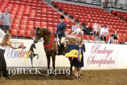 19BUCK_04119 proof