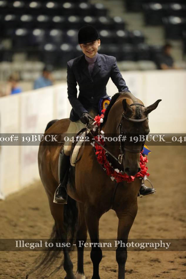 Proof 19BUCK_04122