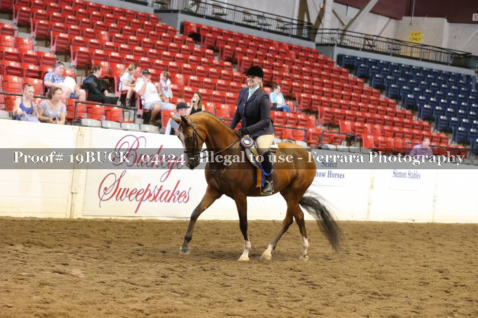 Proof 19BUCK_04124