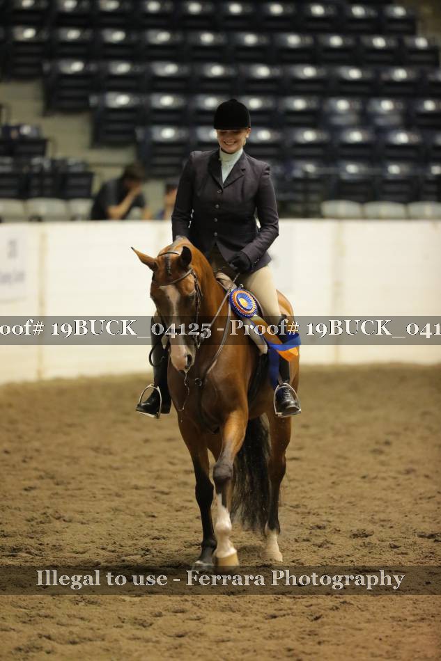 Proof 19BUCK_04125