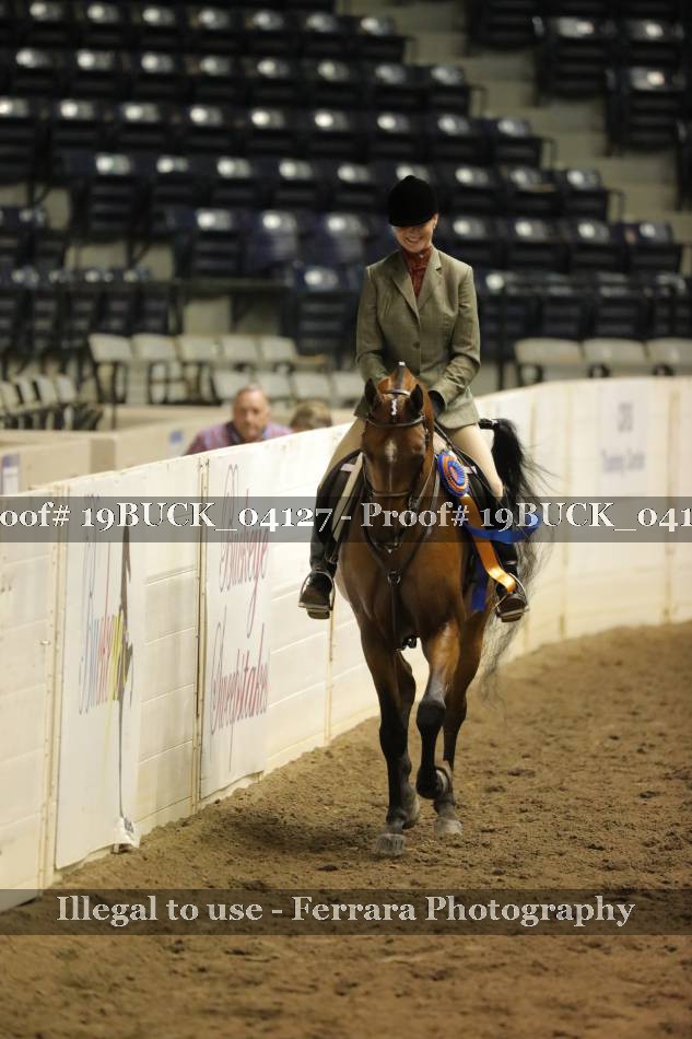Proof 19BUCK_04127