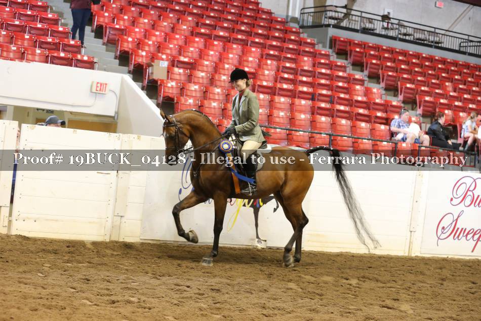 Proof 19BUCK_04128