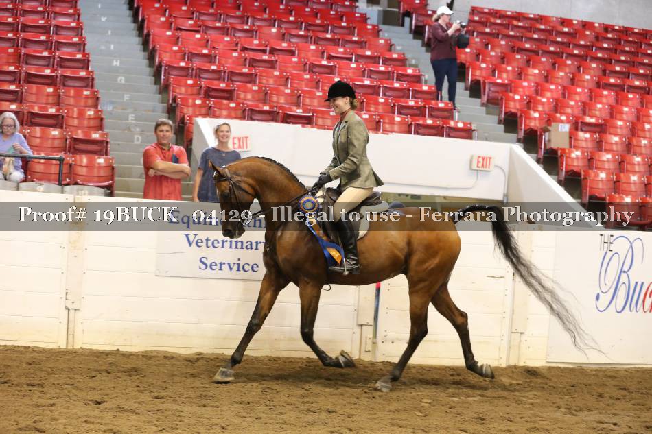 Proof 19BUCK_04129