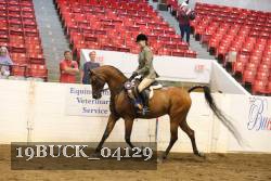 19BUCK_04129 proof
