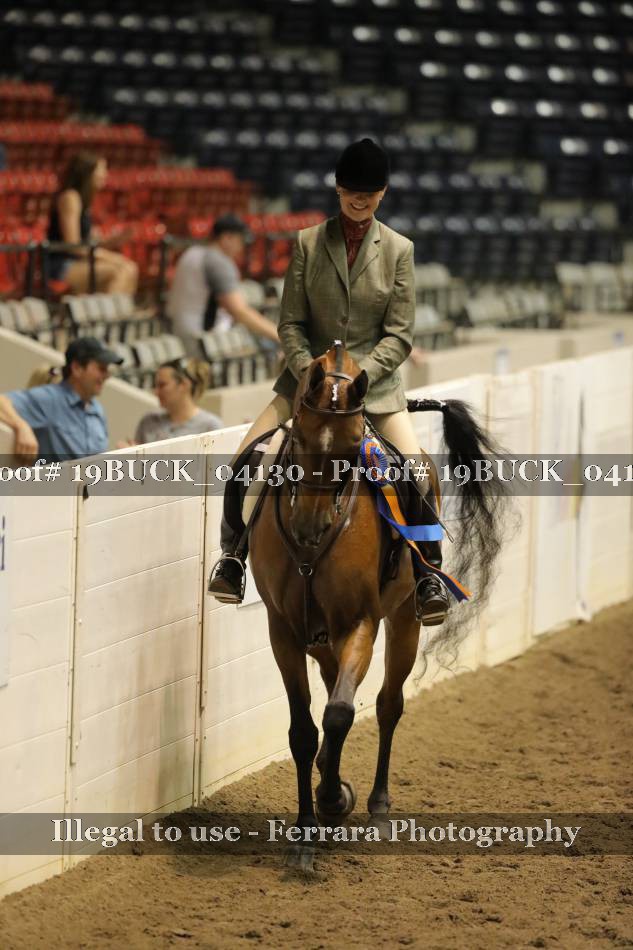 Proof 19BUCK_04130