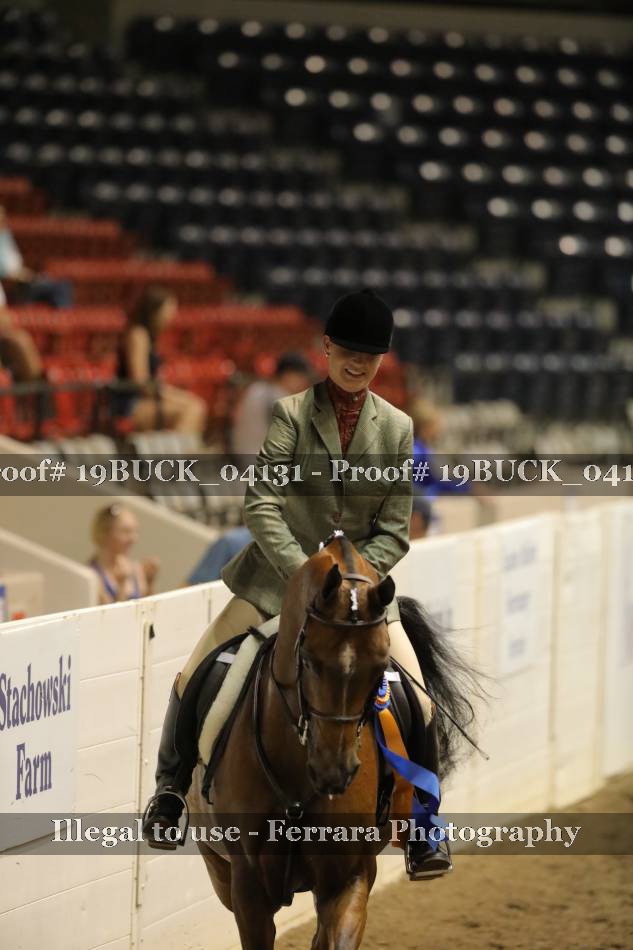 Proof 19BUCK_04131