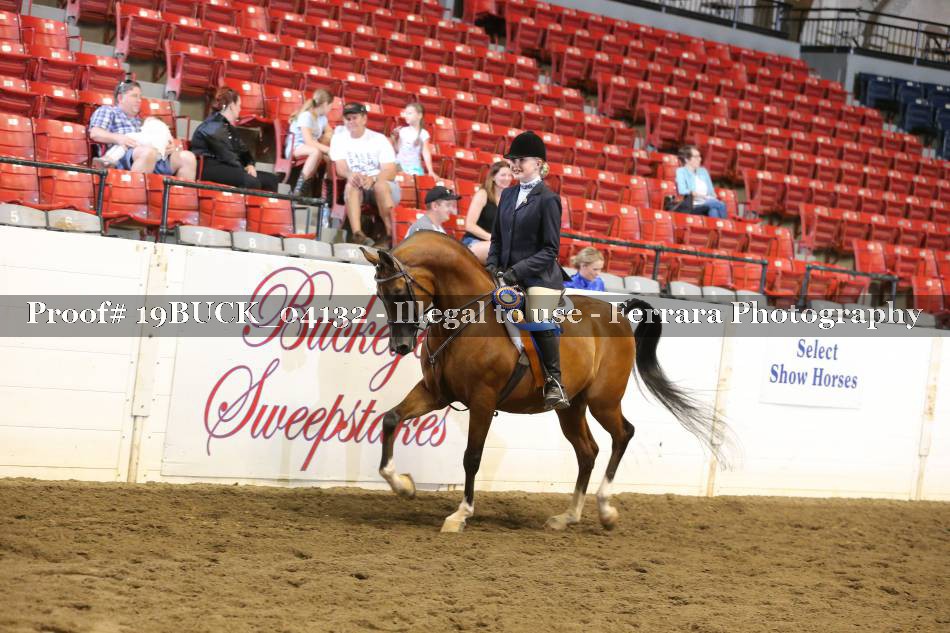 Proof 19BUCK_04132