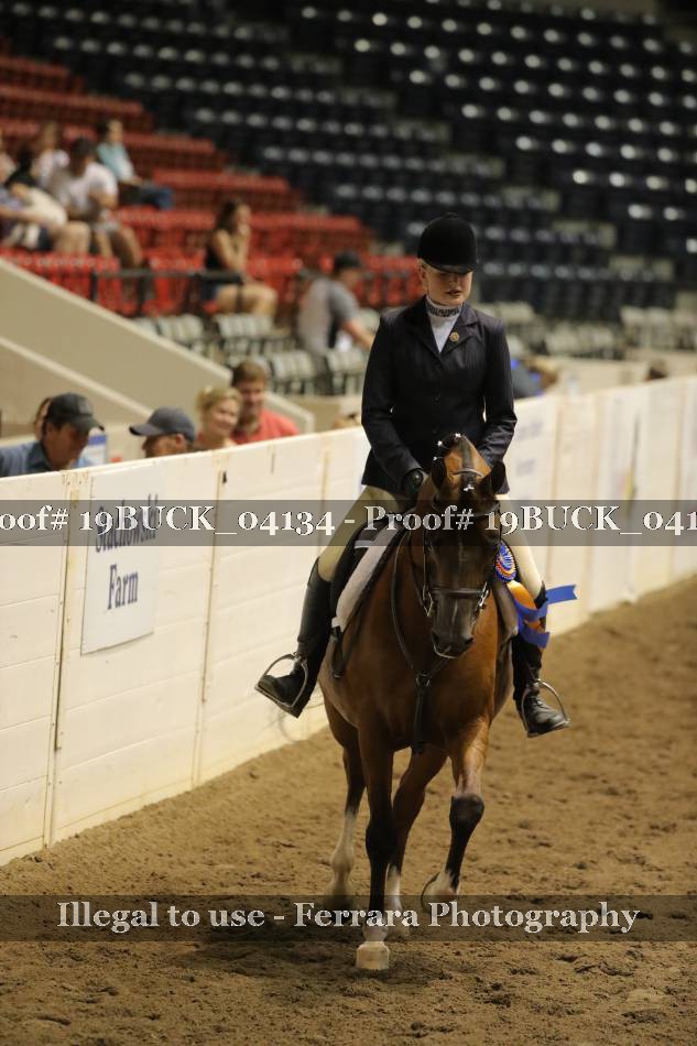 Proof 19BUCK_04134
