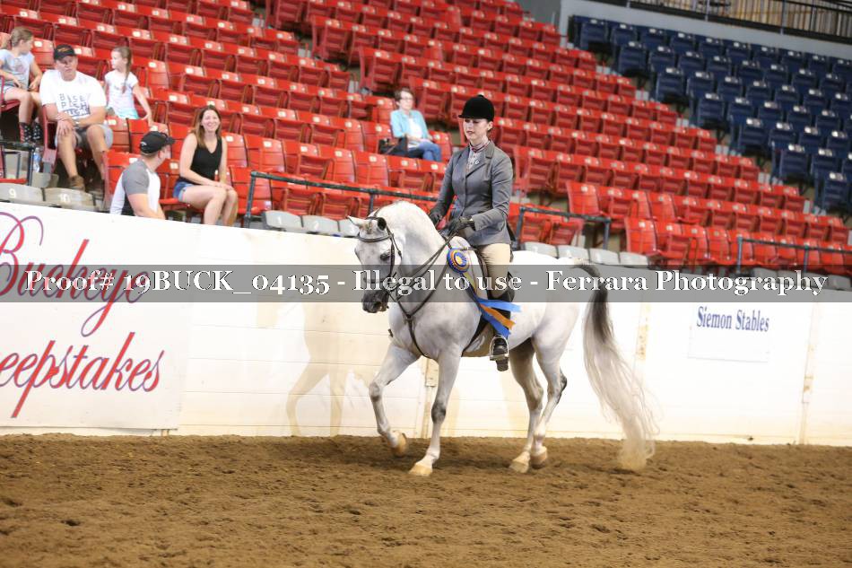 Proof 19BUCK_04135