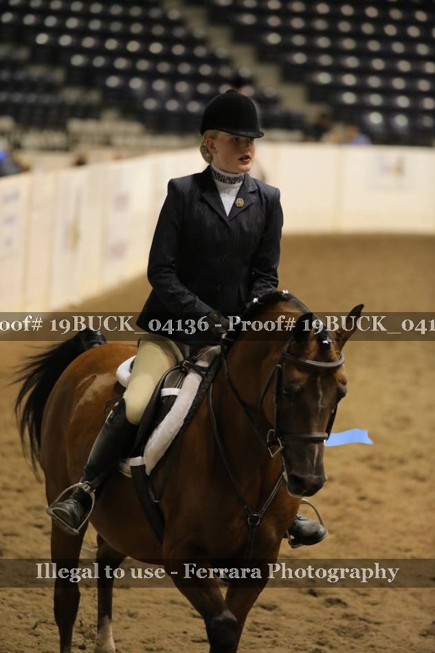 Proof 19BUCK_04136