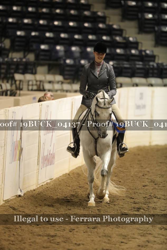 Proof 19BUCK_04137