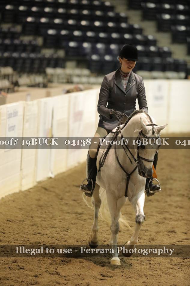 Proof 19BUCK_04138