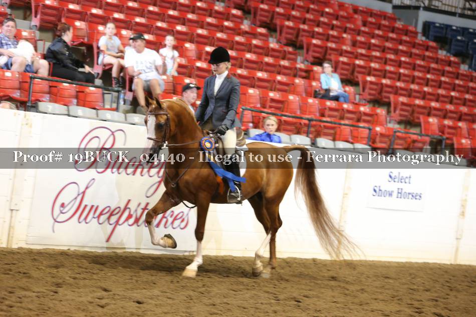 Proof 19BUCK_04140