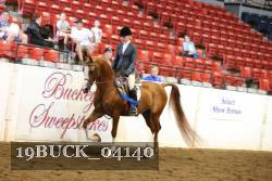 19BUCK_04140 proof