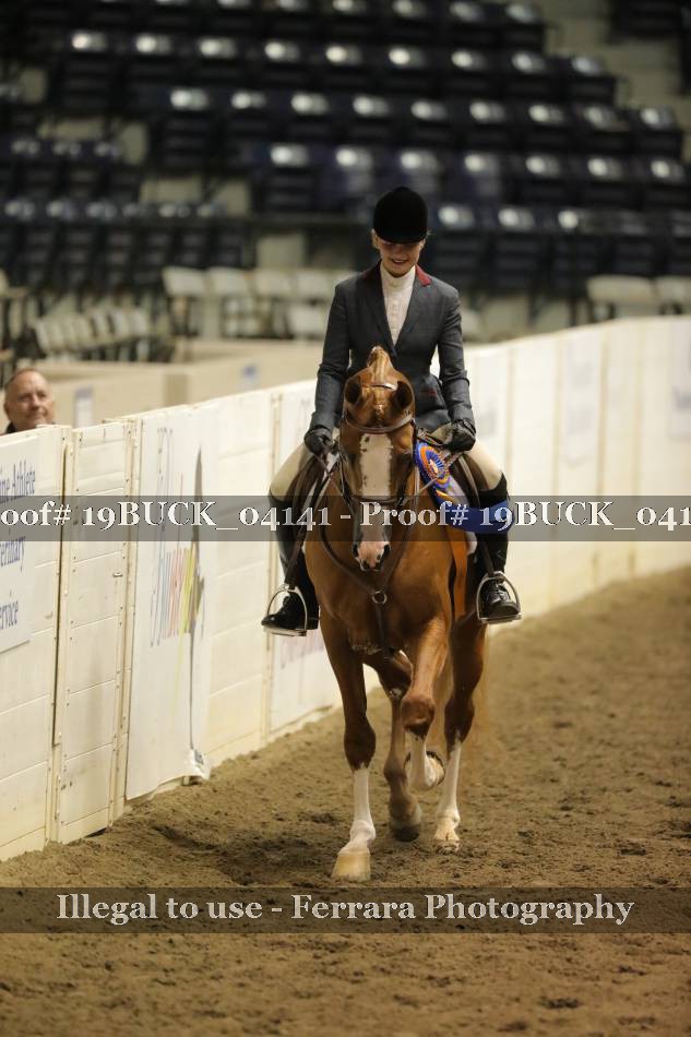 Proof 19BUCK_04141