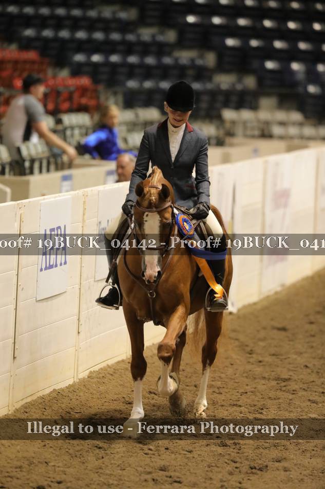 Proof 19BUCK_04142