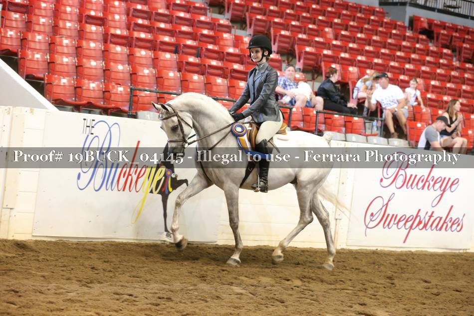 Proof 19BUCK_04145