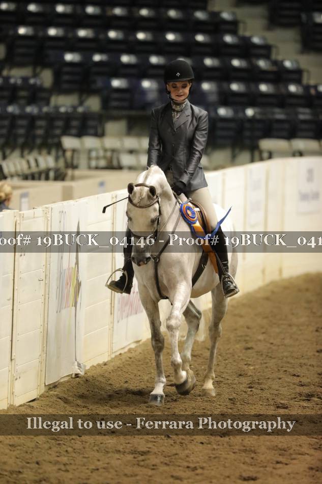 Proof 19BUCK_04146