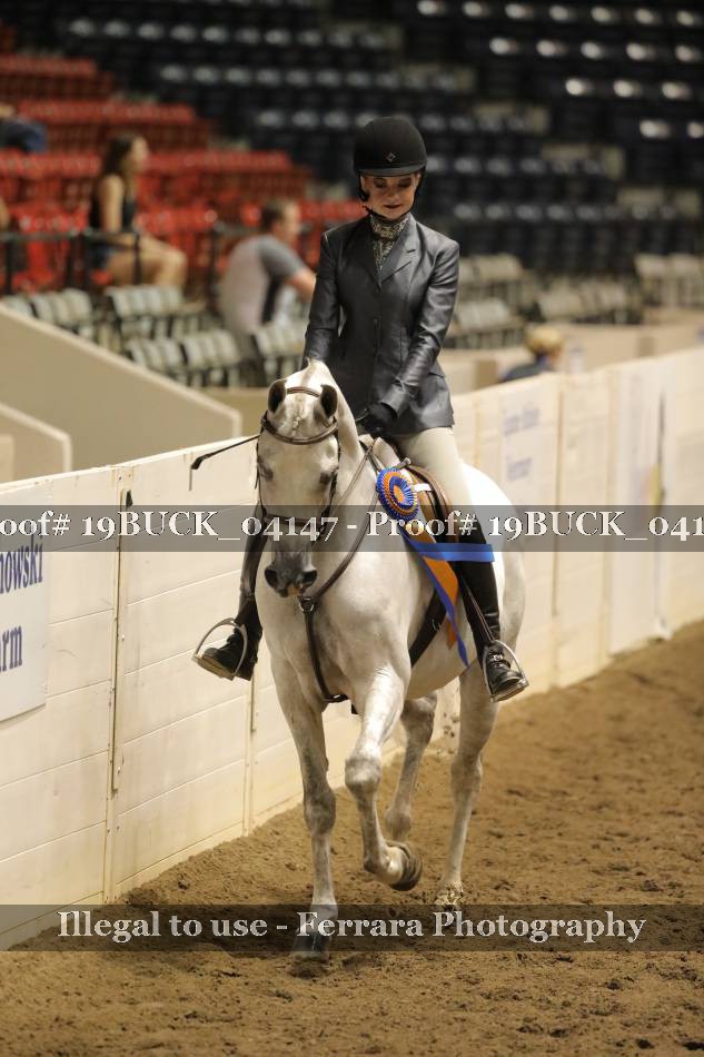 Proof 19BUCK_04147