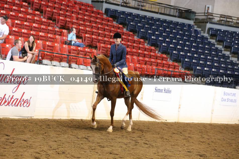 Proof 19BUCK_04149