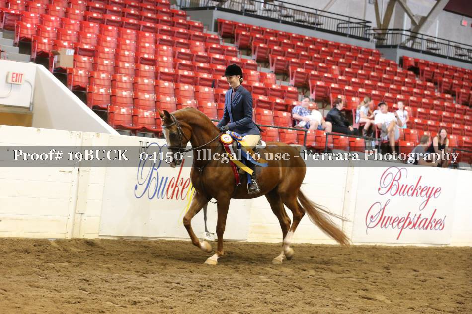 Proof 19BUCK_04150