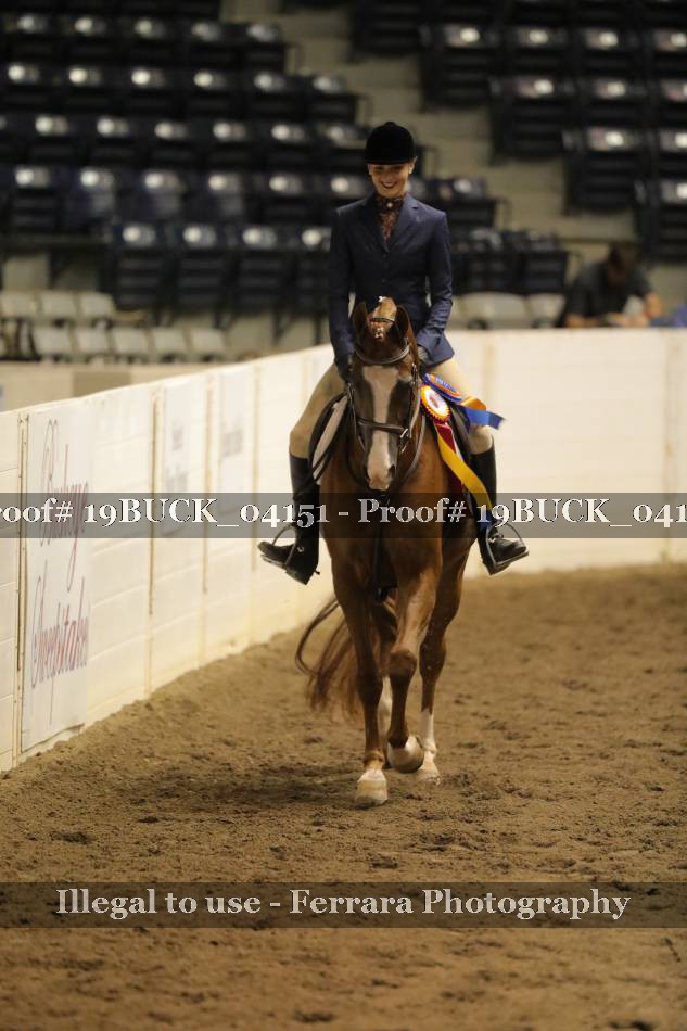 Proof 19BUCK_04151