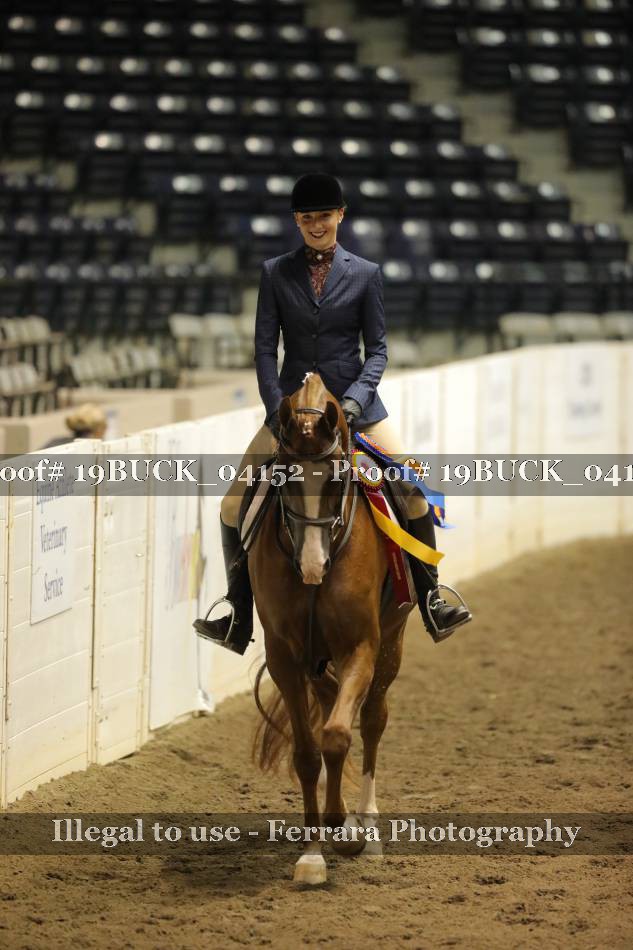 Proof 19BUCK_04152