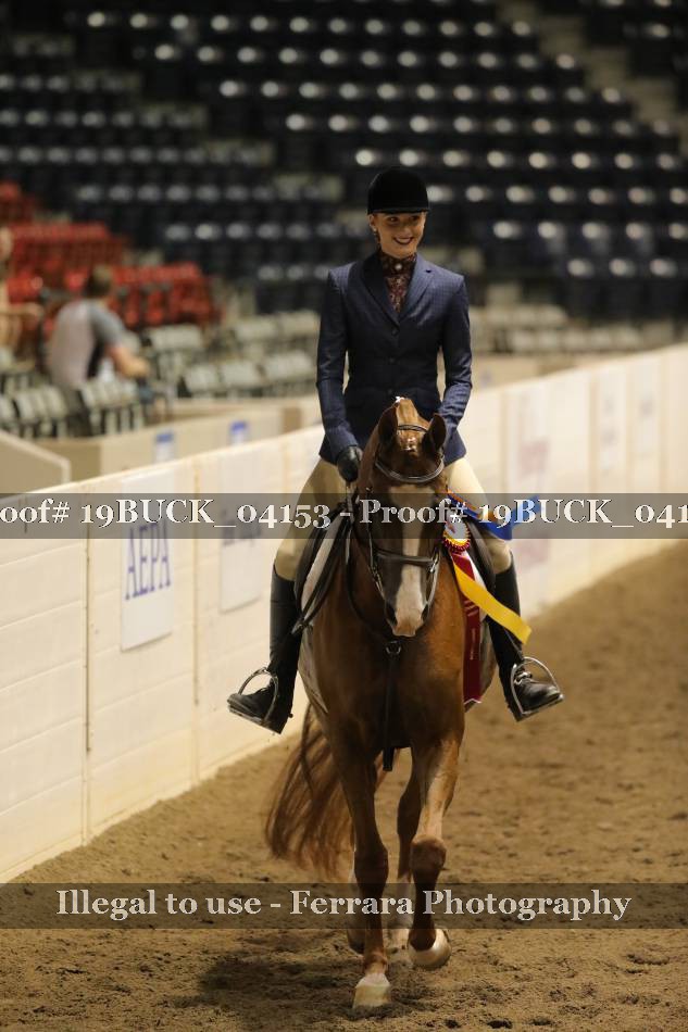 Proof 19BUCK_04153