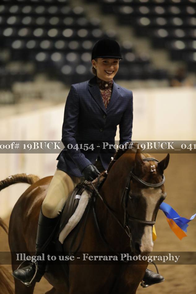 Proof 19BUCK_04154