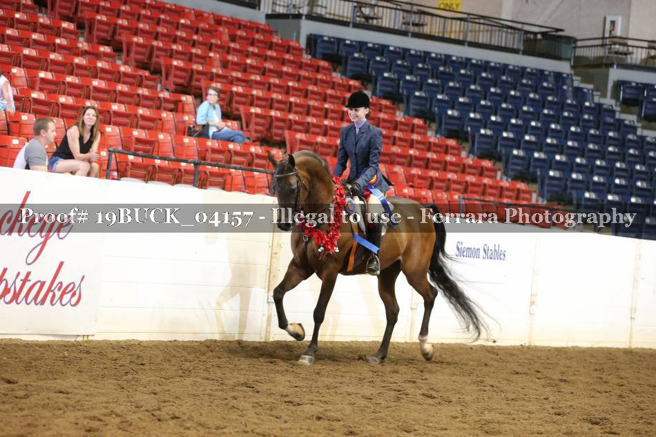 Proof 19BUCK_04157