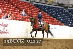 19BUCK_04157 proof