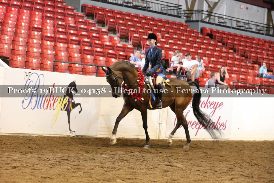 Proof 19BUCK_04158
