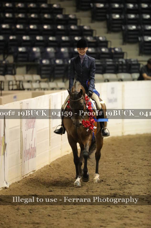 Proof 19BUCK_04159