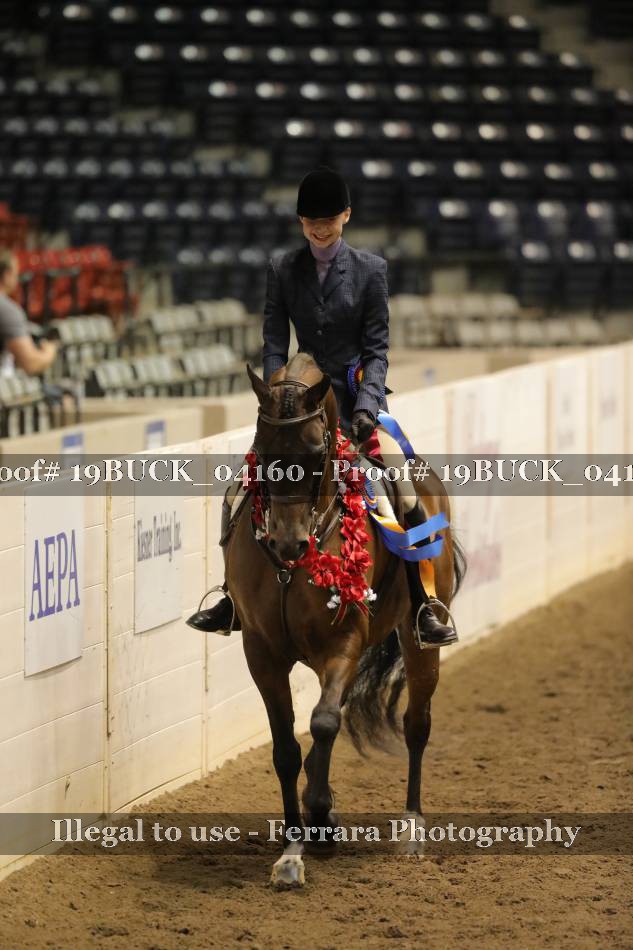 Proof 19BUCK_04160