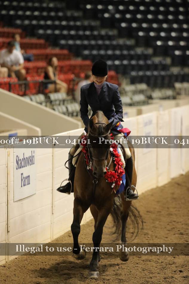 Proof 19BUCK_04161