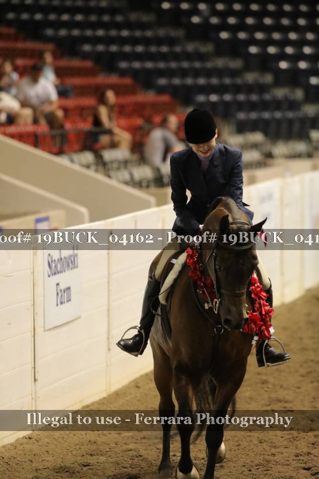 Proof 19BUCK_04162