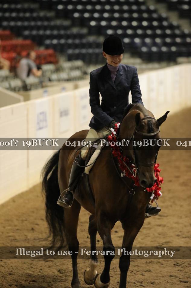 Proof 19BUCK_04163