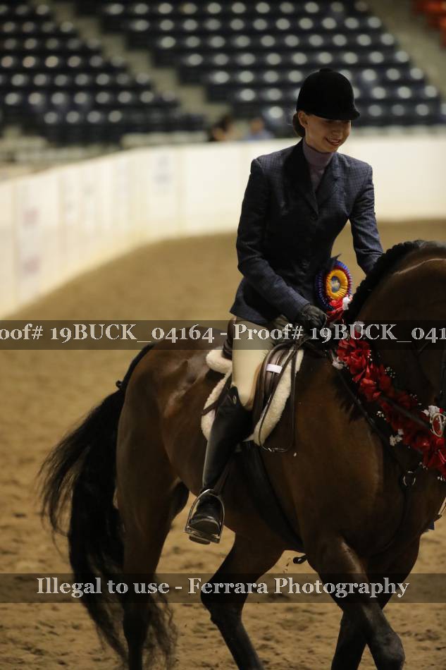 Proof 19BUCK_04164