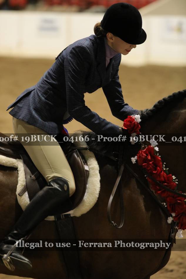 Proof 19BUCK_04166