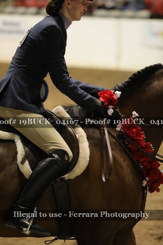 Proof 19BUCK_04167