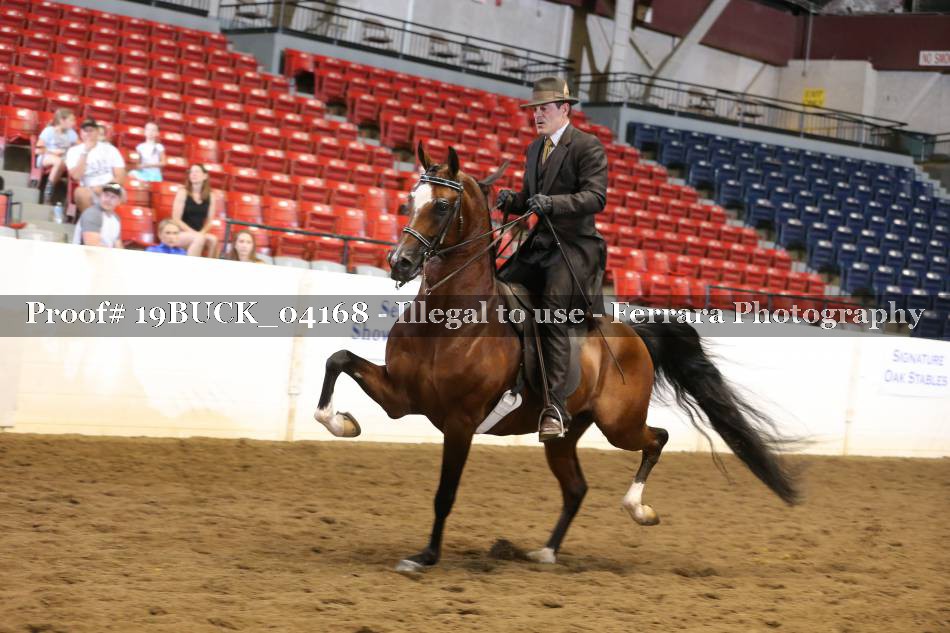 Proof 19BUCK_04168