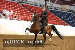 19BUCK_04168 proof