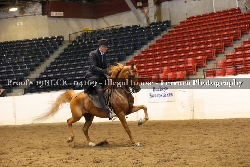 Proof 19BUCK_04169