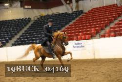 19BUCK_04169 proof