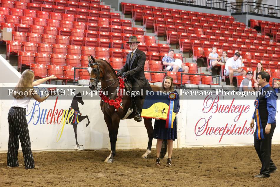 Proof 19BUCK_04170