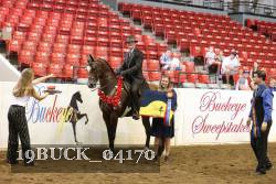 19BUCK_04170 proof