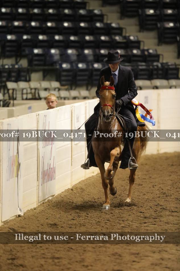 Proof 19BUCK_04171