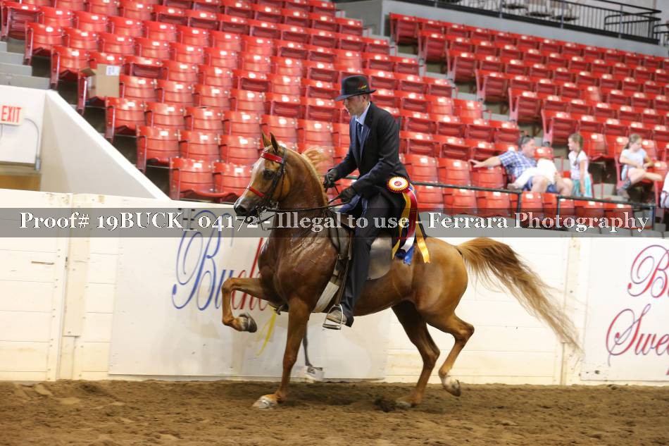 Proof 19BUCK_04172