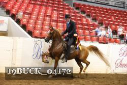 19BUCK_04172 proof