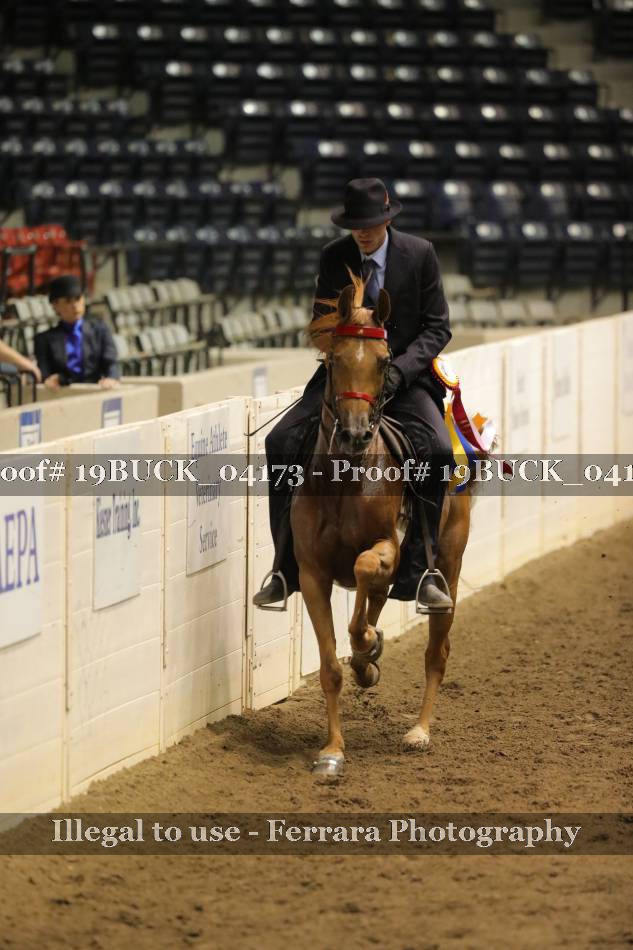 Proof 19BUCK_04173